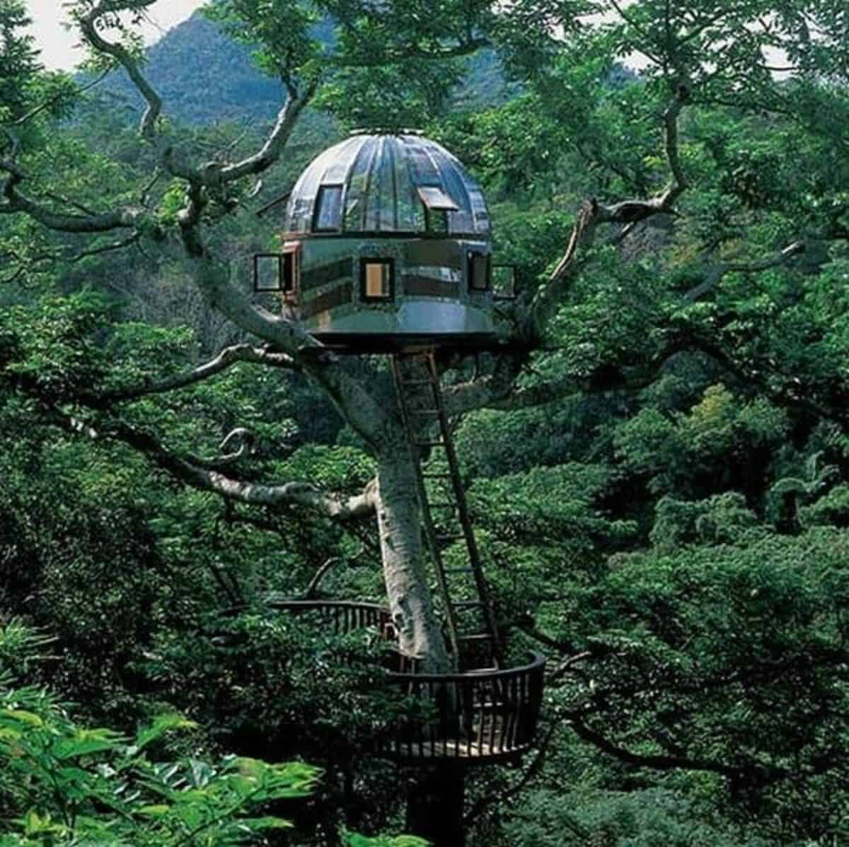 Tree Hut on Volcano: Treehouse in Japan is Minimal Escape from