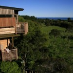 Treehotel in new zealand - Hapuku Lodge & Tree Houses-001