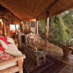 Luxury treehotel interior in africa