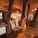 Luxury treehotel in africa