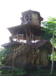 Treehouses in