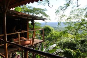 Treehouses in