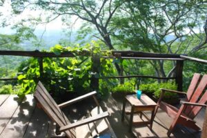 Treehouses in