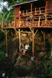 Treehouses in