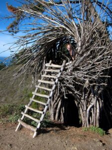 Human Nest Treehouse Hotel - Treehouses in United States