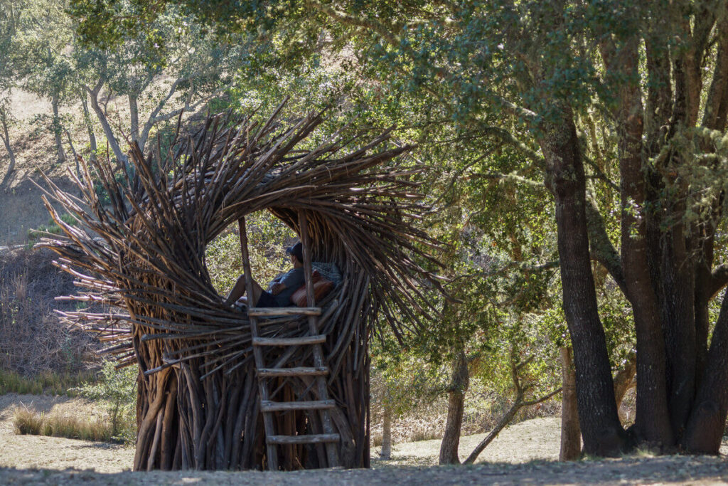 Human Nest Treehouse Hotel - Treehouses in United States