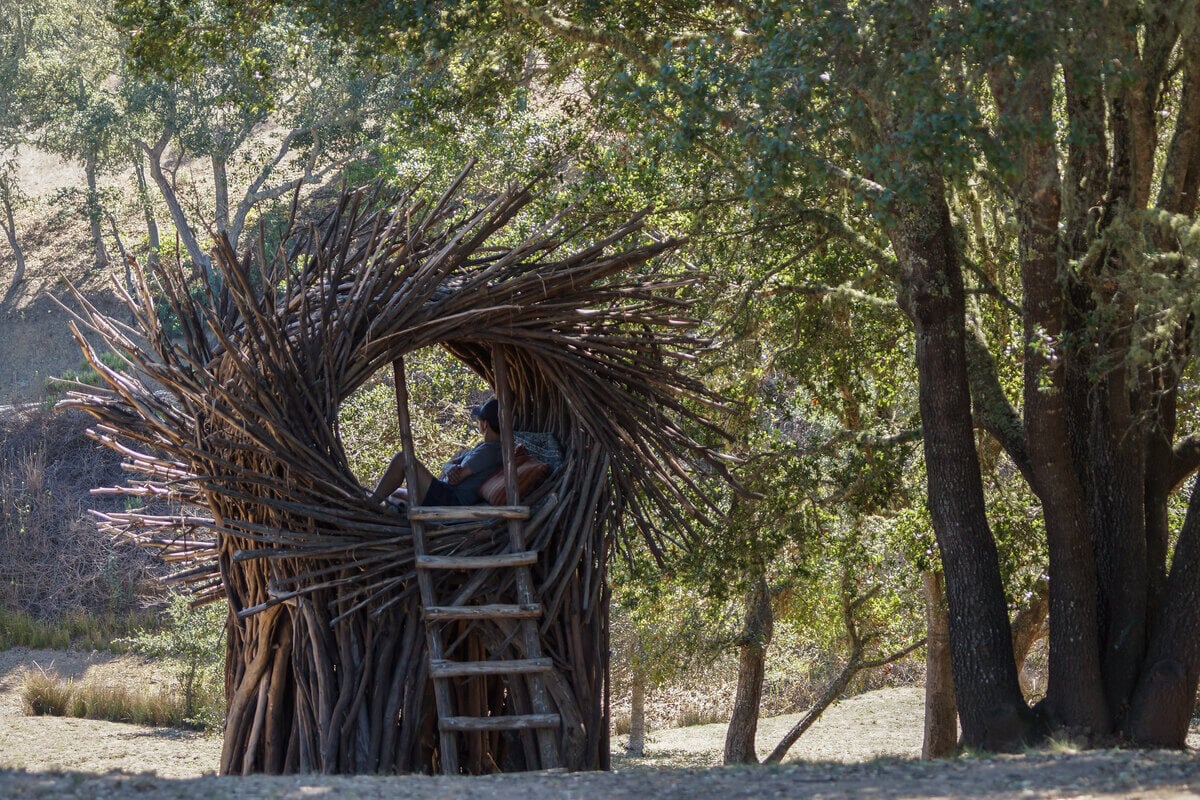 Design Meets Nature: 13 Hotels That Disappear Into the Trees - Treehouses in