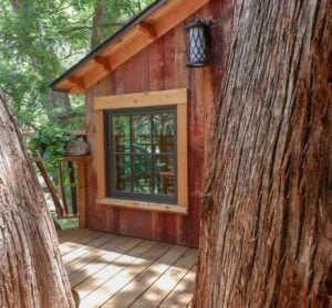 Treehouse Utopia - Treehouses in United States