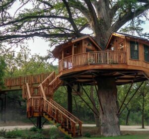 Treehouse Utopia - Treehouses in United States