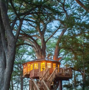 Treehouse Utopia - Treehouses in United States