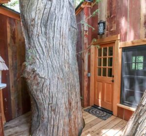 Treehouse Utopia - Treehouses in United States