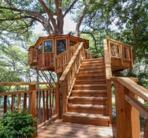 Treehouse Utopia - Treehouses in United States