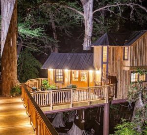 Treehouse Utopia - Treehouses in United States