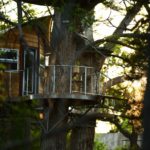 Cypress Valley Canopy Treehouse, USA