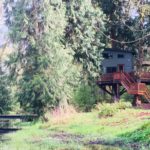 Treehouse with Panoramic Views in Olympia