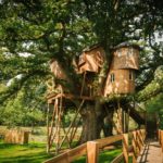 Treetops Treehouse UK