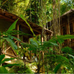 Kanopi House Treehouses Jamaica