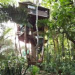Lapa's Nest Treehouse, Costa Rica