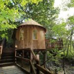 Treehouse in the UK: Hoots Treehouse
