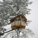 Treehouse in the USA: The Cinder Cone