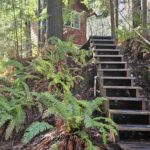 Treehouse Place at Deer Ridge - Treehouses in United States