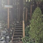 Treehouse Place at Deer Ridge - Treehouses in United States