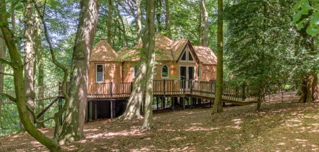 Cedar Hollow Treehouse - Treehouses in United Kingdom