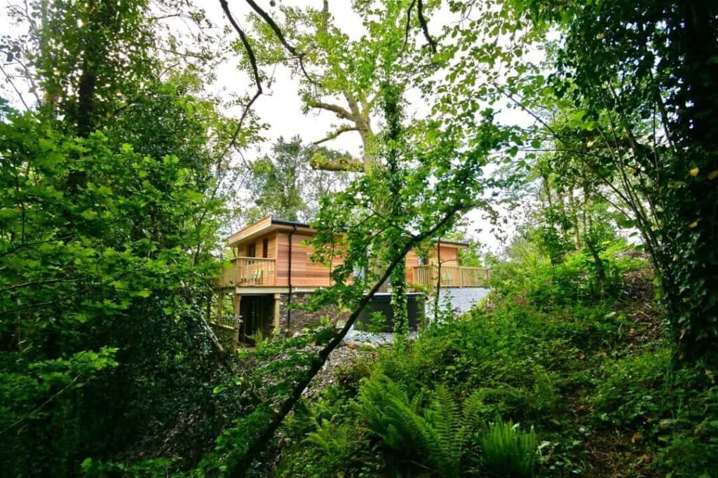 Sunridge Treehouse - Treehouses in United Kingdom