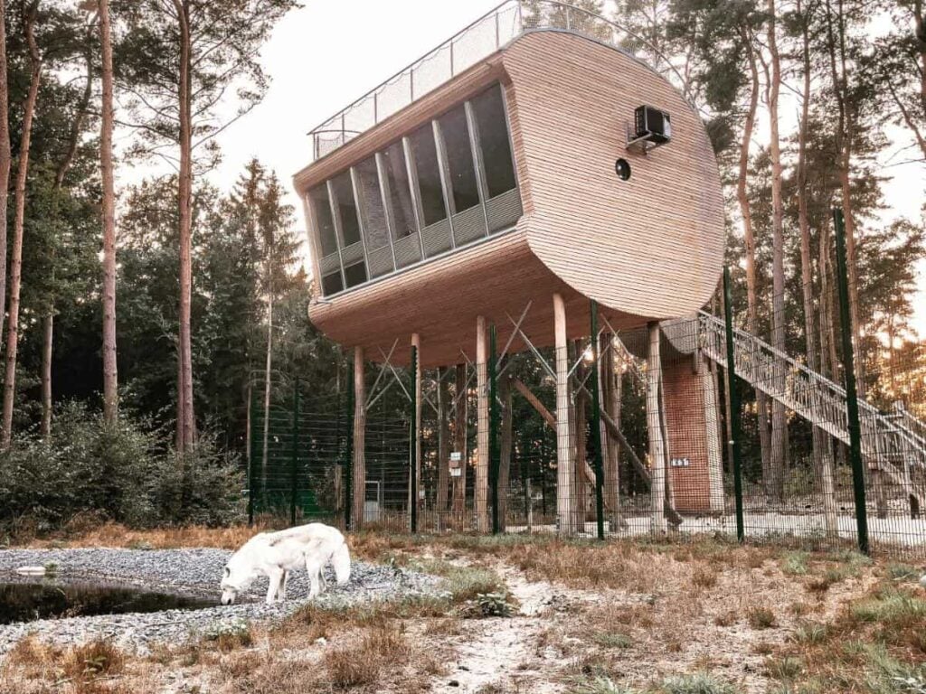Best Nature Escapes for Families With Kids (That Aren’t Boring for Adults) - Treehouses in
