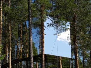 The Mirrorcube Treehouse - Treehouses in Sweden