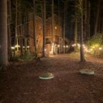 Treehouse-Small Eagles Perch over the water - Treehouses in Canada