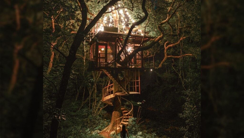 Design Meets Nature: 13 Hotels That Disappear Into the Trees - Treehouses in