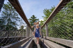 Treetop Walk Bavarian Forest - Treehouses in Germany