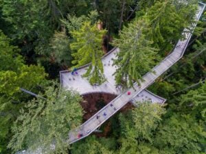 Treetop Walk Bavarian Forest - Treehouses in Germany