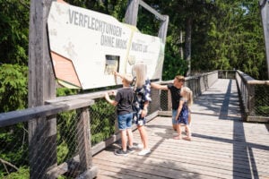 Treetop Walk Bavarian Forest - Treehouses in Germany