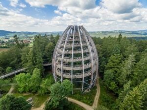 Treetop Walk Bavarian Forest - Treehouses in Germany