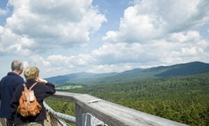 Treetop Walk Bavarian Forest - Treehouses in Germany