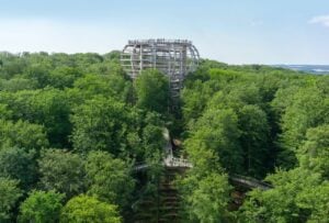 Baumwipfelpfad im Naturerbe Zentrum Rügen - Treehouses in Germany