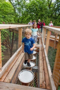 Baumwipfelpfad im Naturerbe Zentrum Rügen - Treehouses in Germany