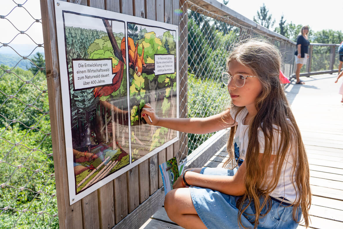 Baumwipfelpfad Saarschleife Treetop - Baumwipfelpfads Saarschleife %C2%A9 Erlebnis Akademie AG