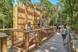 Treetop Walk Saarschleife - Treehouses in Germany