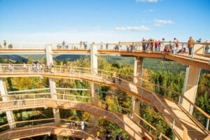 Treetop Walk Black Forest - Treehouses in Germany