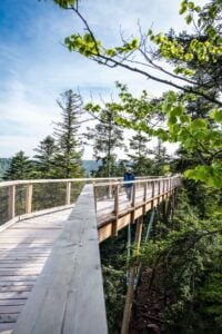 Treetop Walk Black Forest - Treehouses in Germany