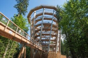 Treetop Walk Black Forest - Treehouses in Germany
