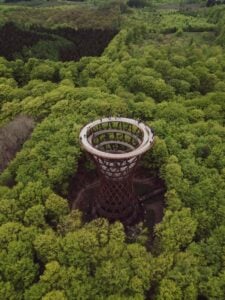 Forest Village at Camp Adventure - Treehouses in Denmark