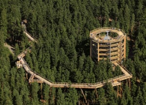 Stezka korunami stromů Lipno - Treehouses in Czechia