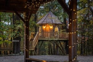 The Mohicans Treehouse Resort and Wedding Venue - Treehouses in Treehouse Hotels in the USA