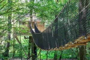 The Mohicans Treehouse Resort and Wedding Venue - Treehouses in Treehouse Hotels in the USA