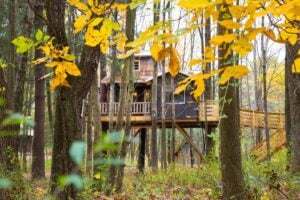 The Mohicans Treehouse Resort and Wedding Venue - Treehouses in Treehouse Hotels in the USA