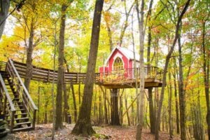 The Mohicans Treehouse Resort and Wedding Venue - Treehouses in Treehouse Hotels in the USA
